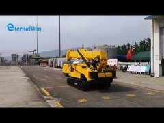 кран на гусеничном ходе паука